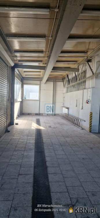 Lokal użytkowy  do wynajęcia, , Gliwice, ul. 