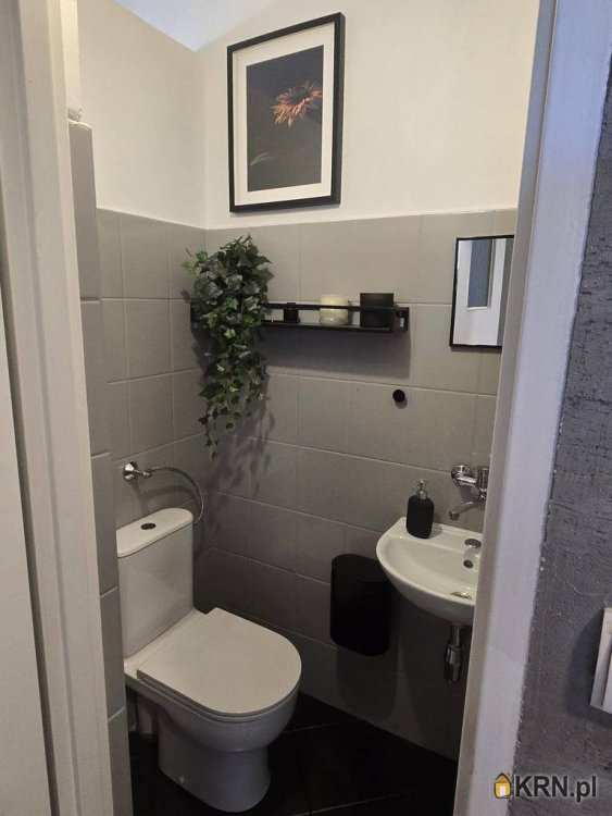 Lokal użytkowy  do wynajęcia, Aleksandrów Łódzki, ul. , 