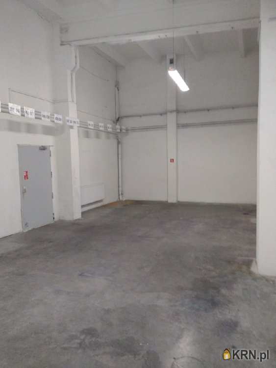 Lokal użytkowy  do wynajęcia, Toruń, Bielawy, ul. , 7 pokojowe