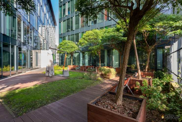 , Warszawa, Śródmieście, ul. , Lokal użytkowy  do wynajęcia