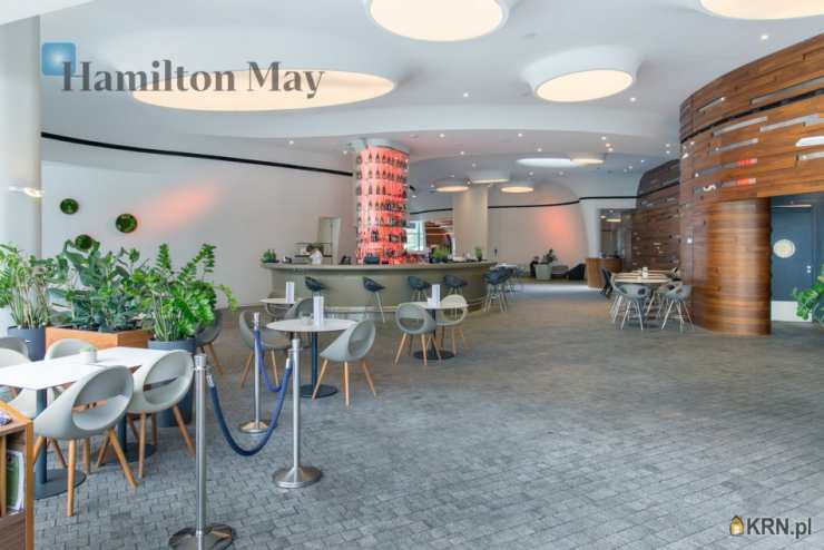 Wrocław, Krzyki, ul. Podwale, Lokal użytkowy  do wynajęcia, 