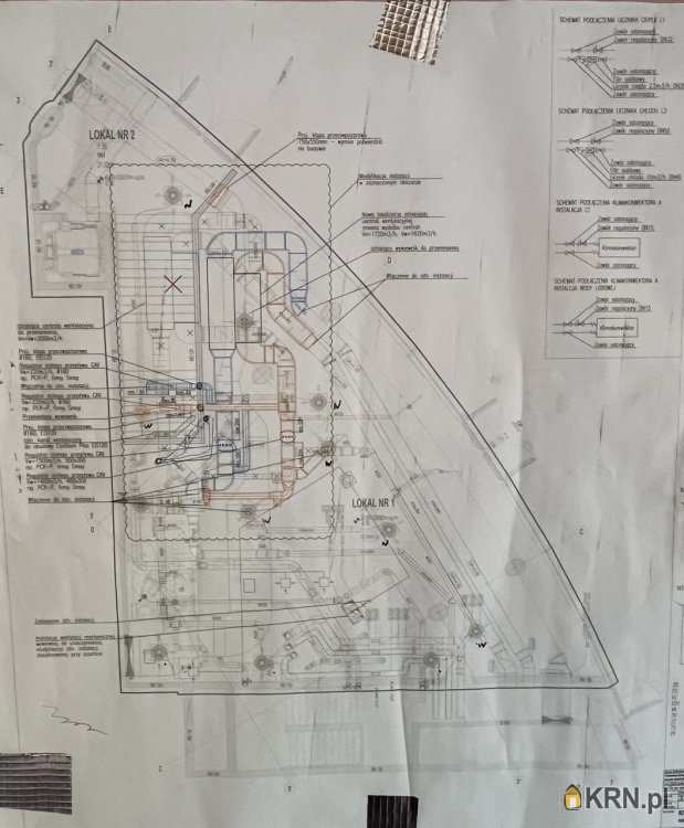 Lokal użytkowy  do wynajęcia, Wrocław, Krzyki, ul. Podwale, 