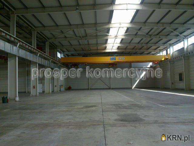 Lokal użytkowy  do wynajęcia, Gliwice, Sośnica, ul. , 