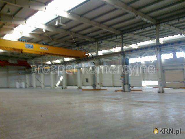 Lokal użytkowy  do wynajęcia, , Gliwice, Sośnica, ul. 