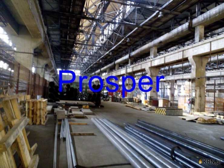 Katowice, ul. , , Lokal użytkowy  do wynajęcia