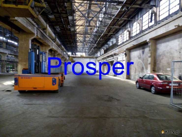 , Katowice, ul. , Lokal użytkowy  do wynajęcia