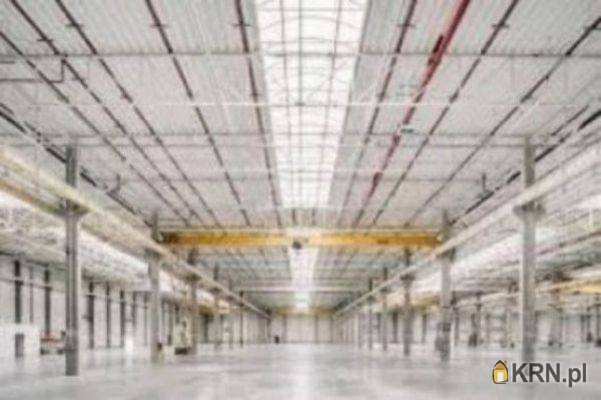 Lokal użytkowy  do wynajęcia, Piekary Śląskie, ul. , 