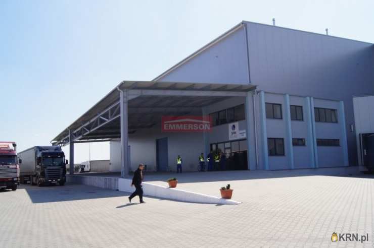 Lokal użytkowy  do wynajęcia, , Targowisko, ul. 