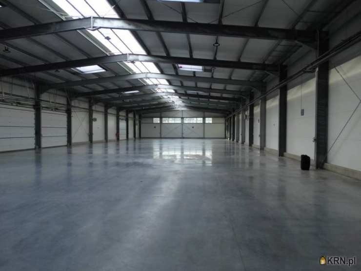 Lokal użytkowy  do wynajęcia, Kielce, ul. , 