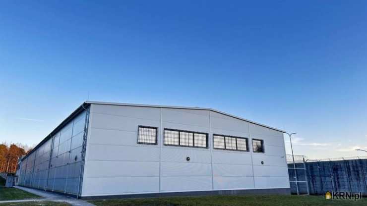 Lokal użytkowy  do wynajęcia, Kielce, ul. , 