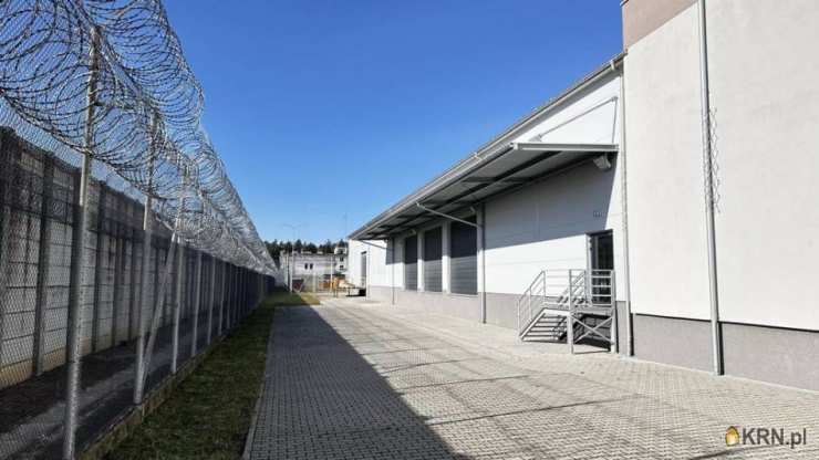 , Lokal użytkowy  do wynajęcia, Kielce, ul. 