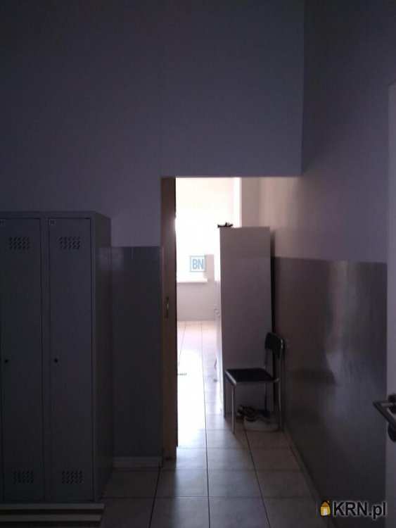 Lokal użytkowy  do wynajęcia, 15 pokojowe, Gliwice, ul. 