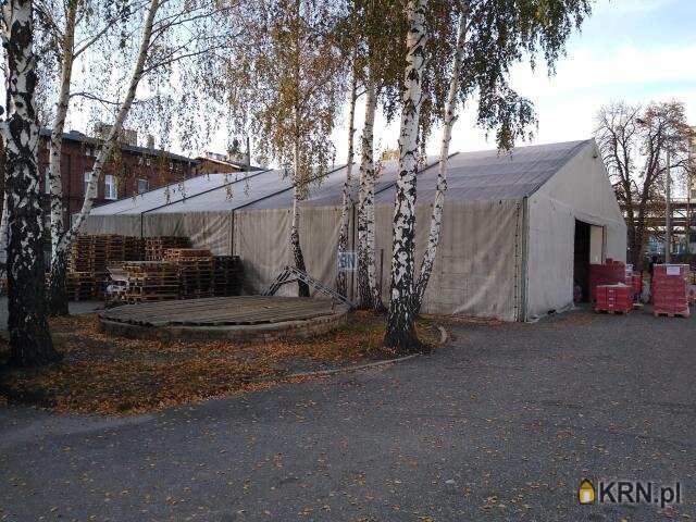 15 pokojowe, Gliwice, ul. , Lokal użytkowy  do wynajęcia