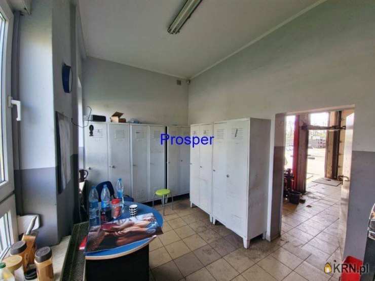 Lokal użytkowy  na sprzedaż, Zabrze, ul. , 