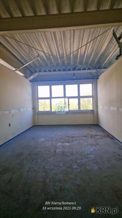 Gliwice, ul. , Lokal użytkowy  do wynajęcia, 