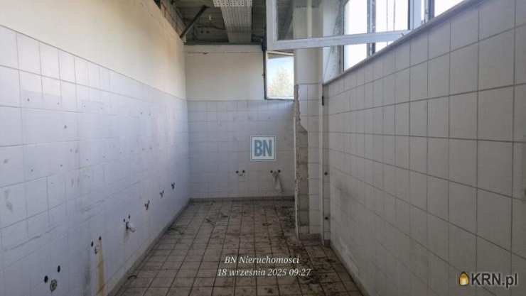 Gliwice, ul. , , Lokal użytkowy  do wynajęcia