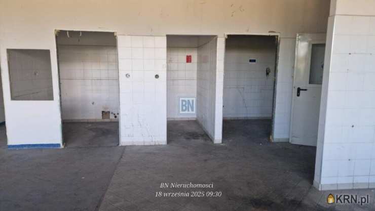 BN Nieruchomości, Lokal użytkowy  do wynajęcia, Gliwice, ul. 