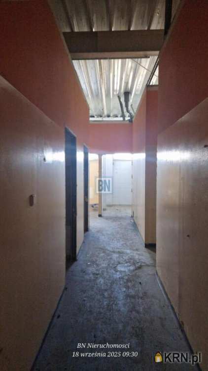 Lokal użytkowy  do wynajęcia, Gliwice, ul. , 