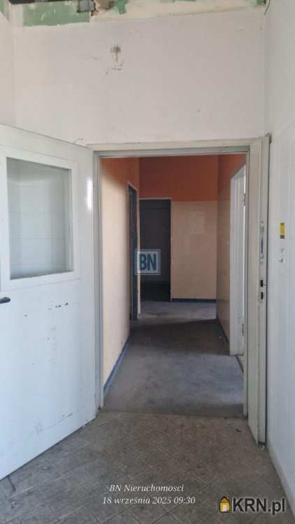 Gliwice, ul. , Lokal użytkowy  do wynajęcia, 