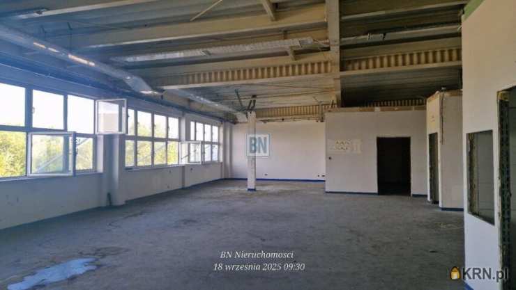 Gliwice, ul. , , Lokal użytkowy  do wynajęcia