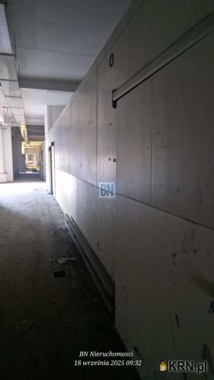 , Gliwice, ul. , Lokal użytkowy  do wynajęcia