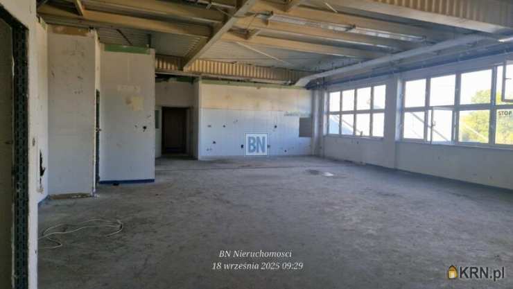 BN Nieruchomości, Lokal użytkowy  do wynajęcia, Gliwice, ul. 