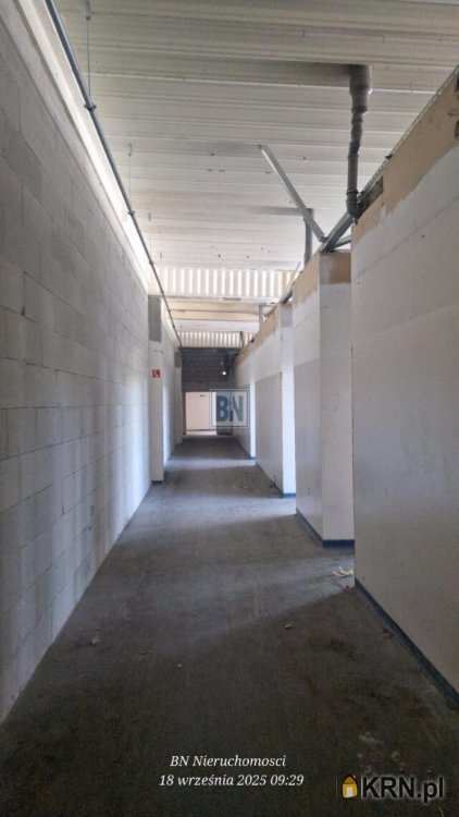 Lokal użytkowy  do wynajęcia, Gliwice, ul. , 