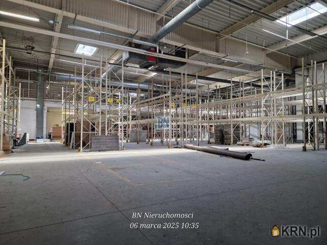 Lokal użytkowy  do wynajęcia, Gliwice, ul. , 10 pokojowe