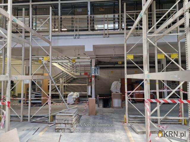 Gliwice, ul. , Lokal użytkowy  do wynajęcia, 10 pokojowe