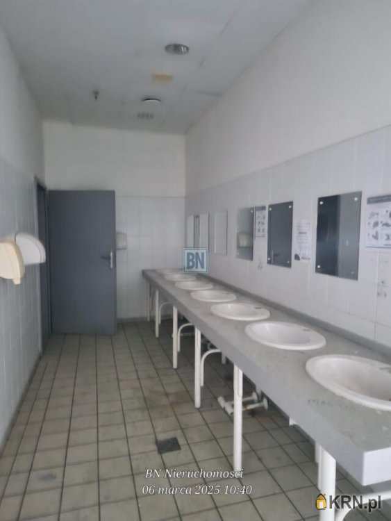 10 pokojowe, Lokal użytkowy  do wynajęcia, Gliwice, ul. 