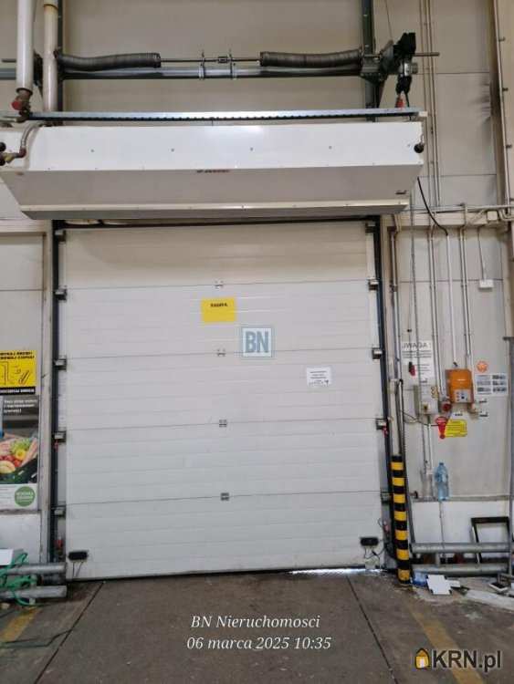 BN Nieruchomości, Lokal użytkowy  do wynajęcia, Gliwice, ul. 