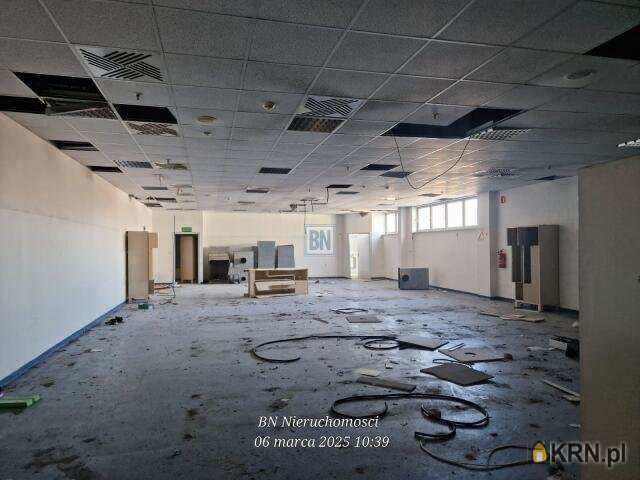 Gliwice, ul. , Lokal użytkowy  do wynajęcia, 10 pokojowe