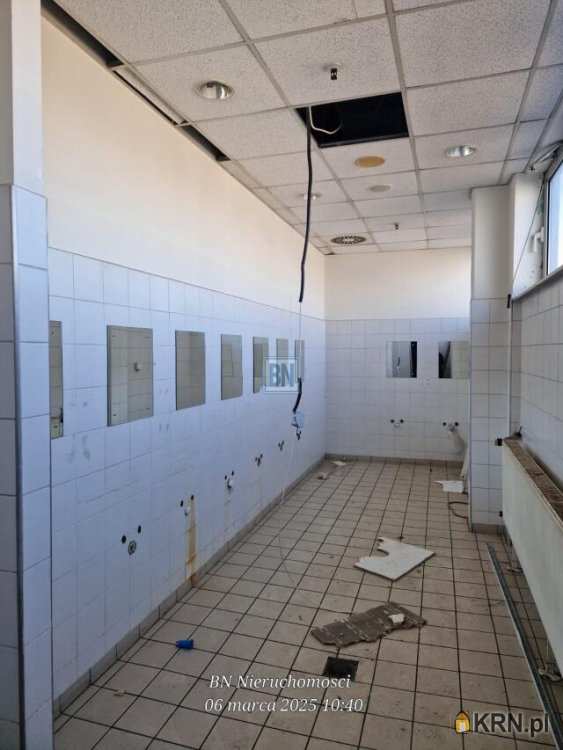 Gliwice, ul. , 10 pokojowe, Lokal użytkowy  do wynajęcia