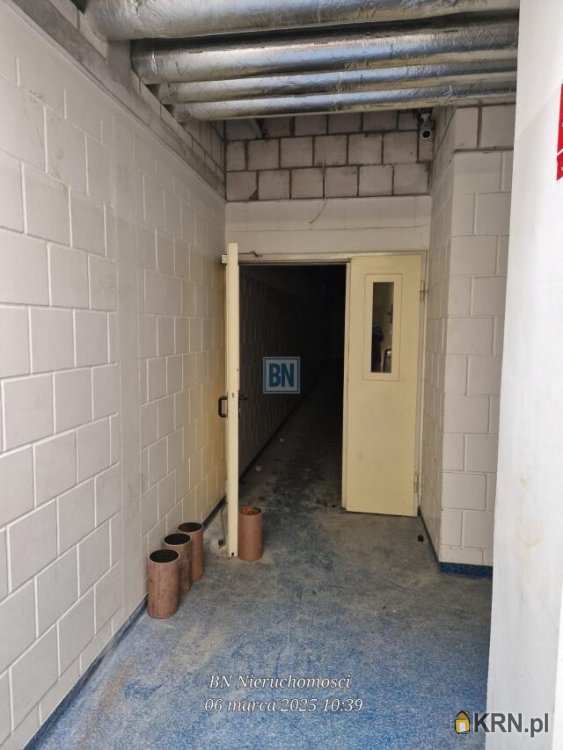 10 pokojowe, Gliwice, ul. , Lokal użytkowy  do wynajęcia