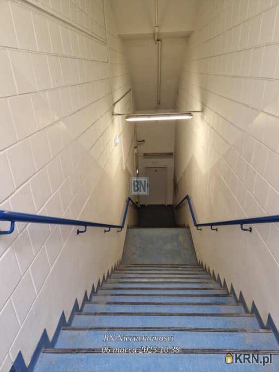 10 pokojowe, Lokal użytkowy  do wynajęcia, Gliwice, ul. 