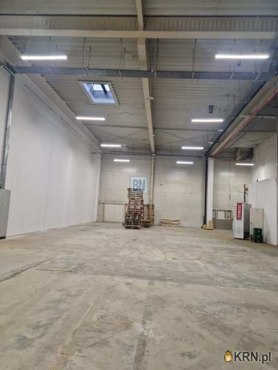 Lokal użytkowy  do wynajęcia, 10 pokojowe, Gliwice, ul. 