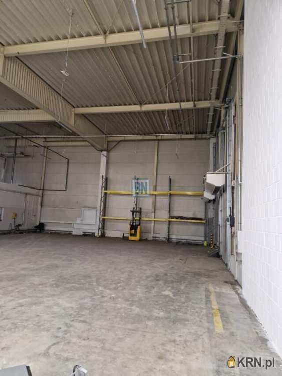 Gliwice, ul. , Lokal użytkowy  do wynajęcia, 10 pokojowe