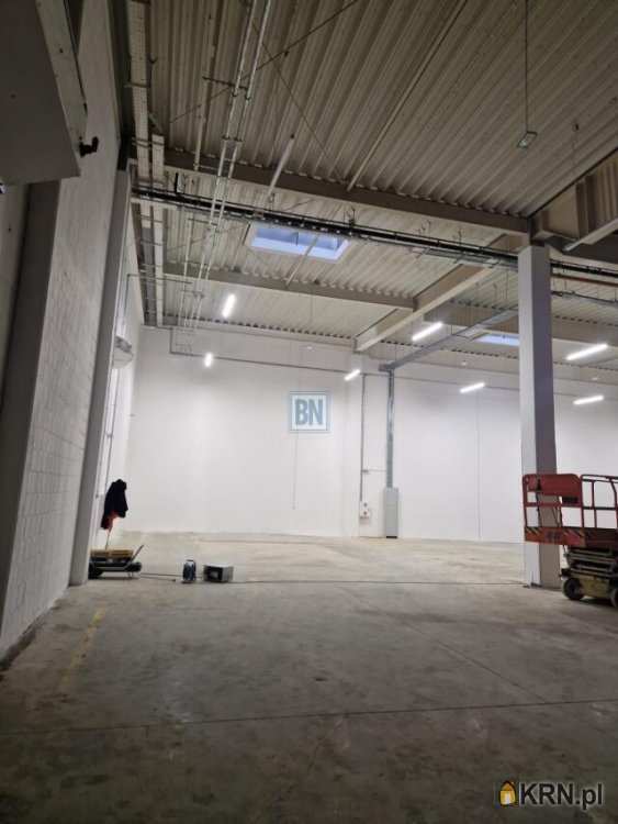 10 pokojowe, Gliwice, ul. , Lokal użytkowy  do wynajęcia