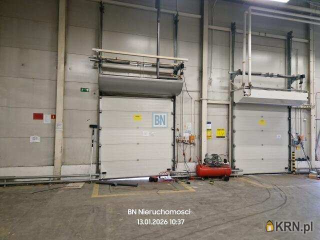 10 pokojowe, Lokal użytkowy  do wynajęcia, Gliwice, ul. 