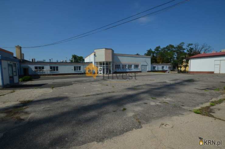 Lokal użytkowy  do wynajęcia, , Głogów, ul. 
