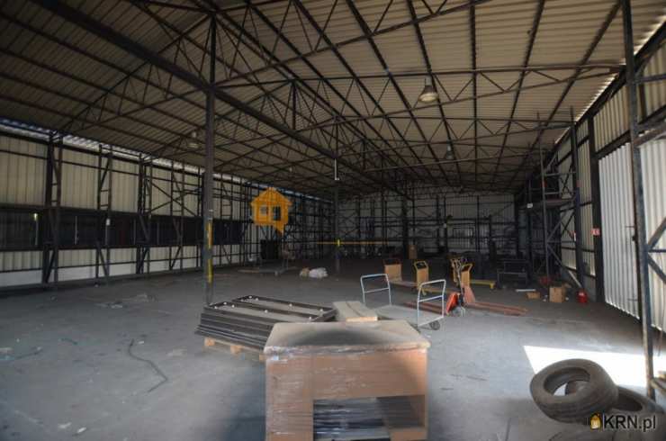 , Głogów, ul. , Lokal użytkowy  do wynajęcia