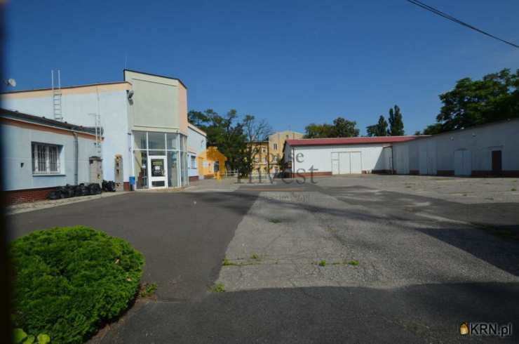 Lokal użytkowy  do wynajęcia, Głogów, ul. , 