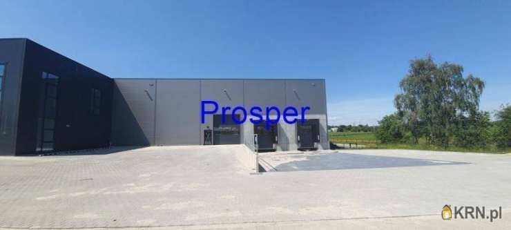 Prosper - Nieruchomości, Lokal użytkowy  do wynajęcia, Mysłowice, ul. 