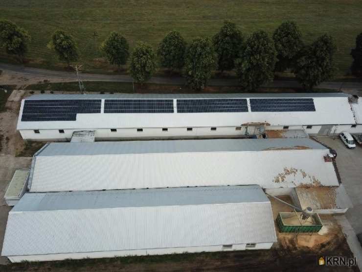 Lokal użytkowy  na sprzedaż, 3 pokojowe, Stare Ślepce, ul. 