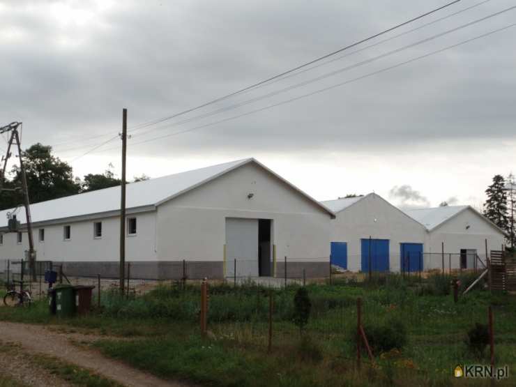 Stare Ślepce, ul. , Lokal użytkowy  na sprzedaż, 3 pokojowe