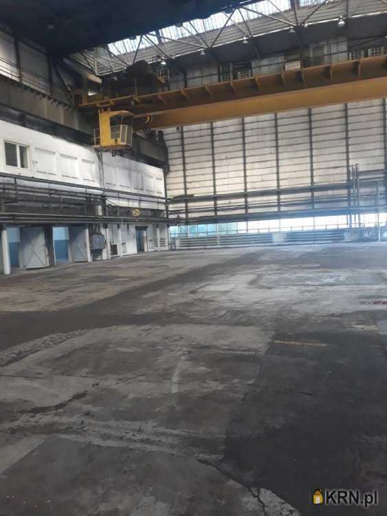 Gliwice, Szobiszowice, ul. , , Lokal użytkowy  do wynajęcia