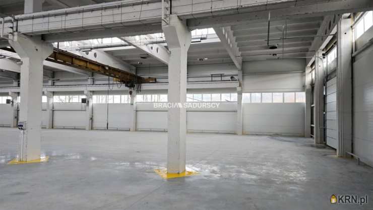 , Lokal użytkowy  do wynajęcia, Olkusz, ul. 