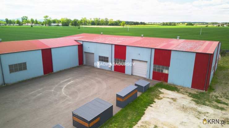 Bracia Sadurscy Oddział BS3 Przewóz, Lokal użytkowy  na sprzedaż, Targowisko, ul. 