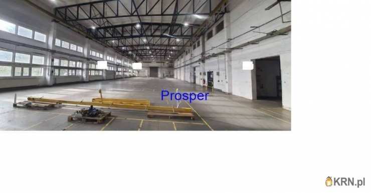 Lokal użytkowy  do wynajęcia, Katowice, ul. , 