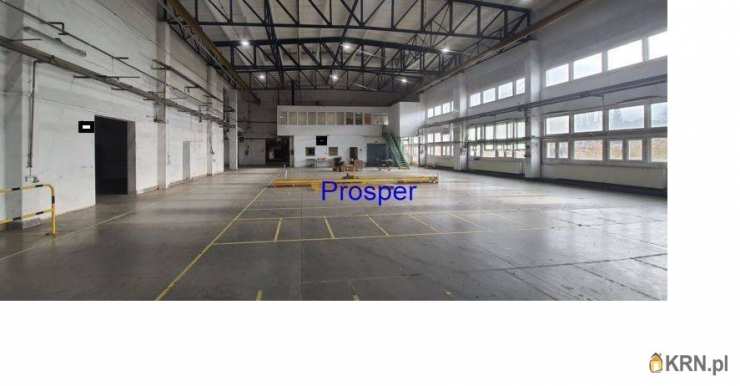 Lokal użytkowy  do wynajęcia, , Katowice, ul. 